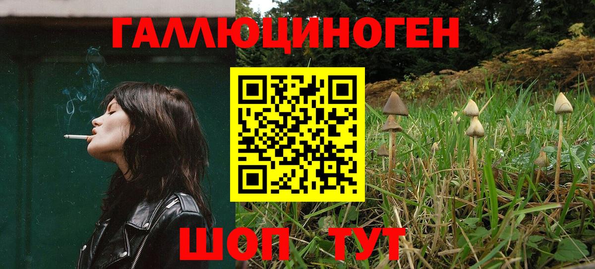 Химки  Галлюциногенные грибы Cubensis  Вход с VPN  Псилоцибиновые грибы Magic Shrooms 
