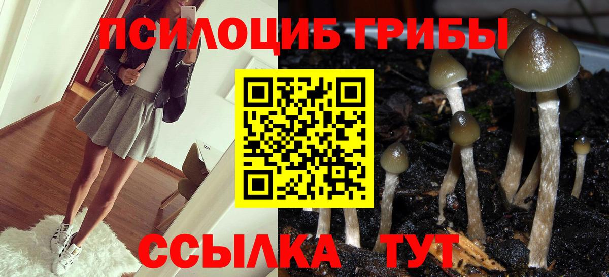 Галлюциногенные грибы GOLDEN TEACHER Химки